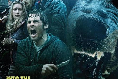 嗜血灰熊在线观看,惊心动魄的生存较量